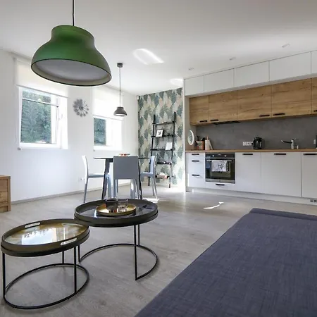 Pod Spicakem アパート *