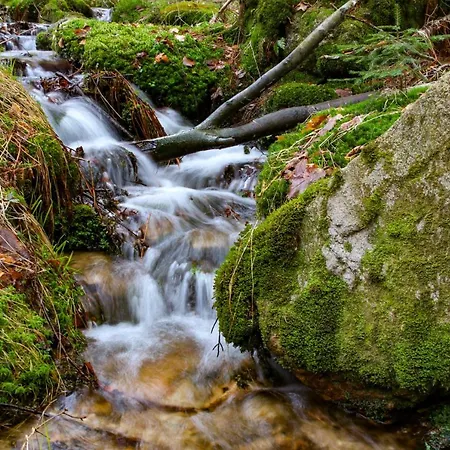 Apartman Pod Spicakem Smržovka