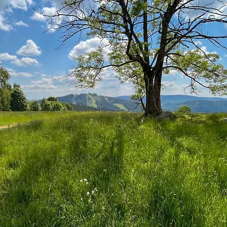 Pod Spicakem Smržovka