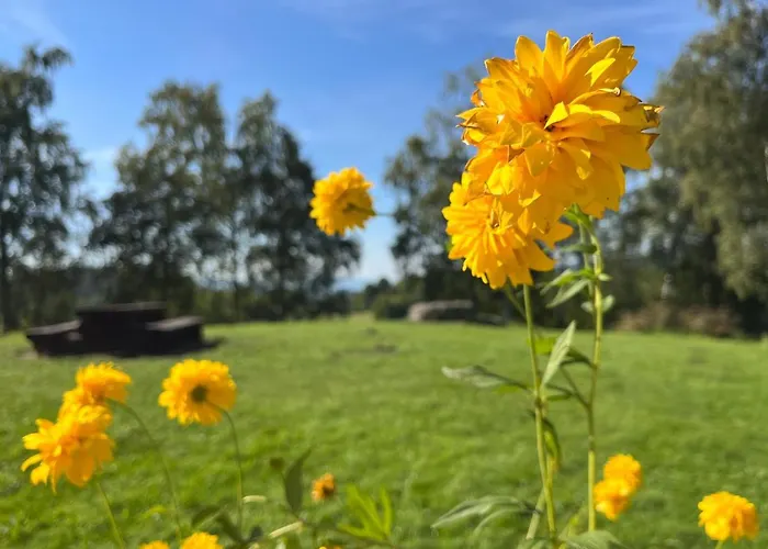 Pod Spicakem アパート