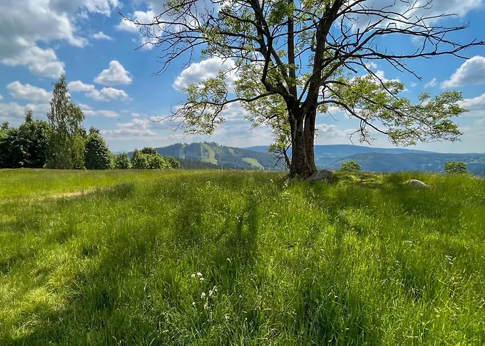 Pod špičákem Smržovka