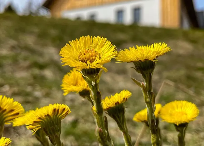 Pod Spicakem アパート